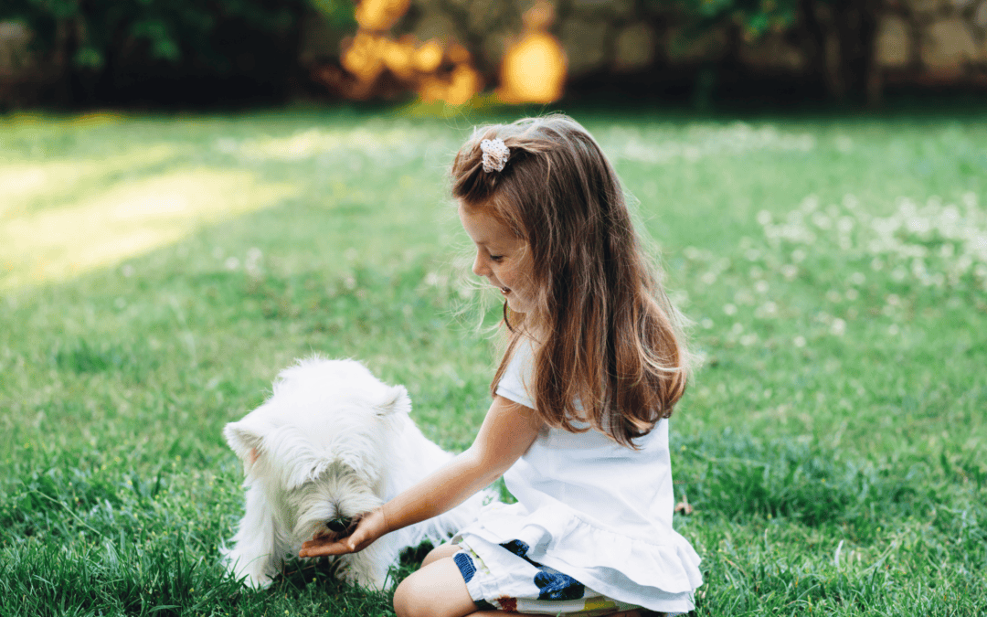 GUEST BLOG: The Gift of Selflessness – Love and Logic